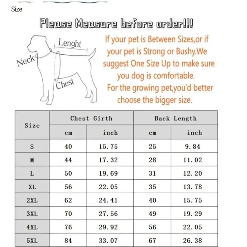 Chaqueta de Invierno