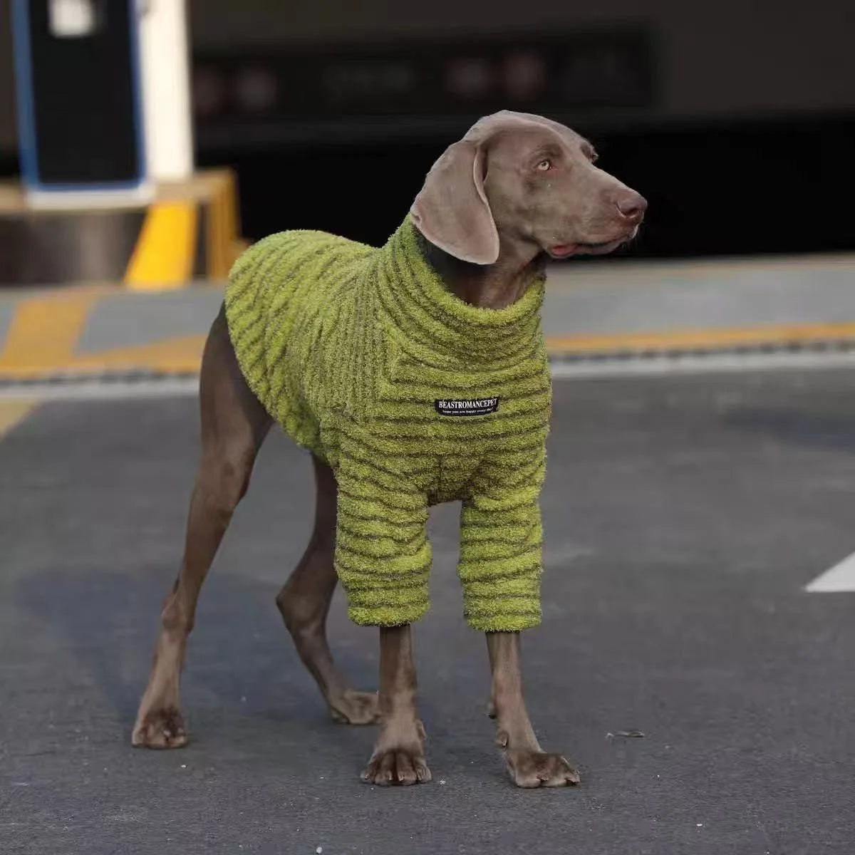 Sudadera Polar para Perros