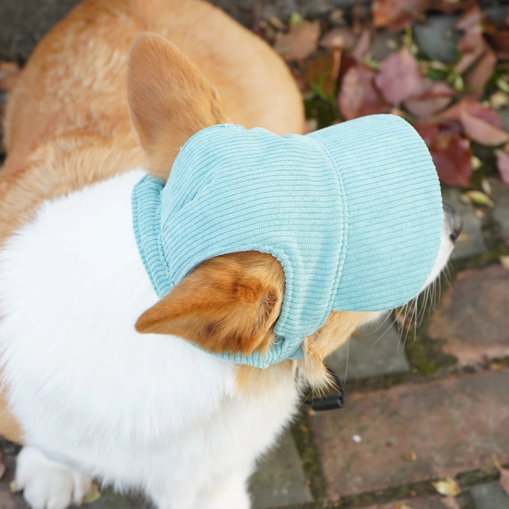Gorra para Perros en tejido de pana