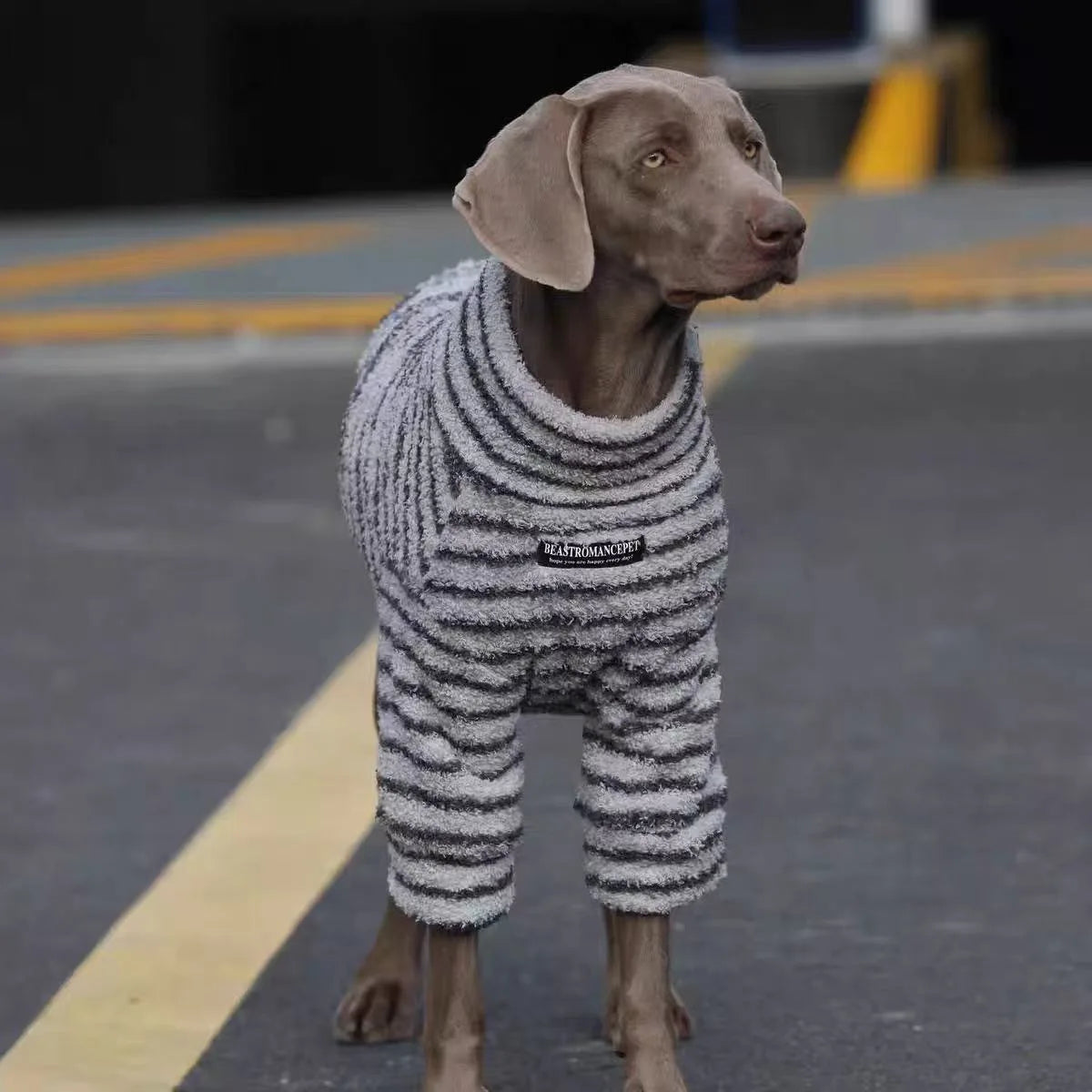 Sudadera Polar para Perros
