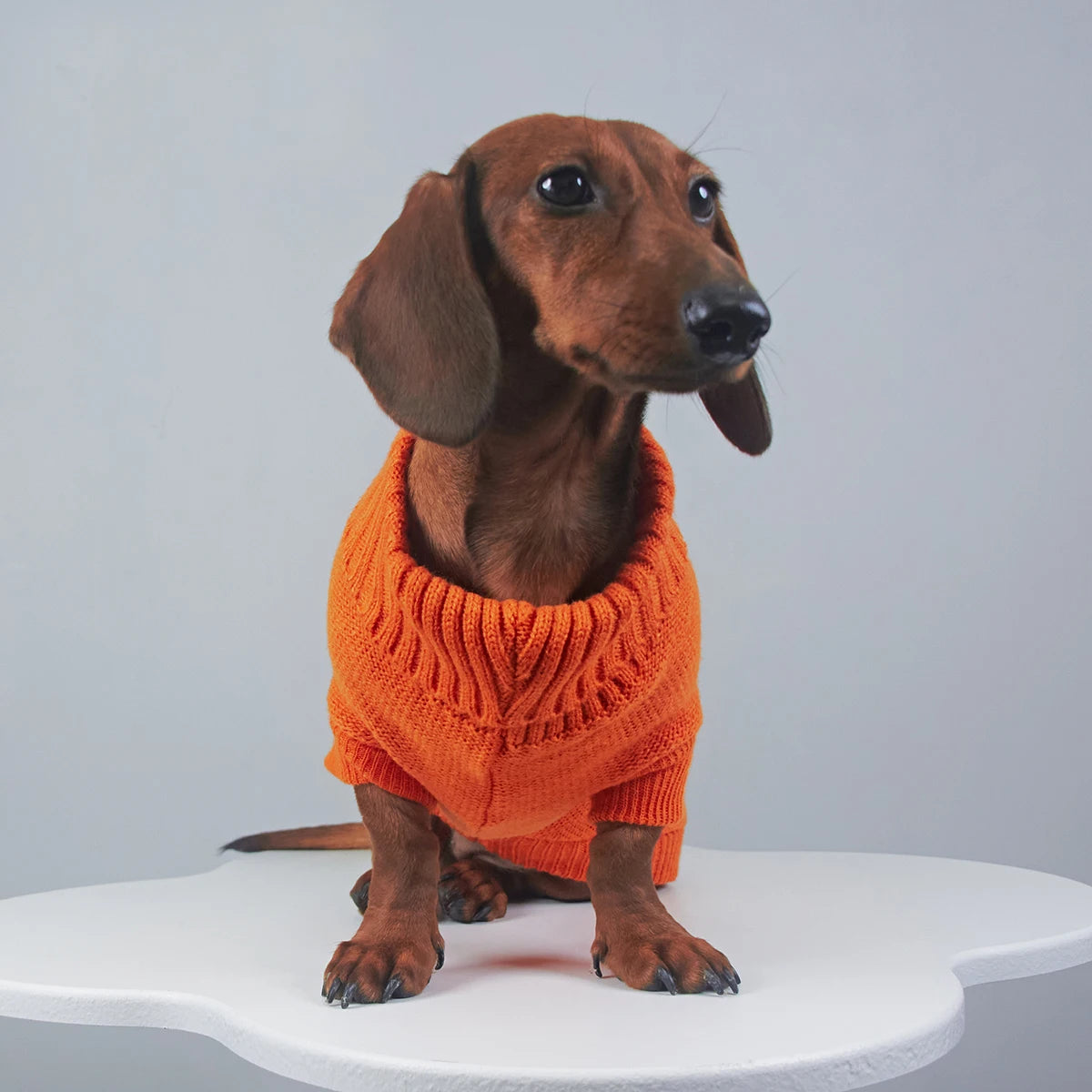 Jersey de Punto Cuello Alto